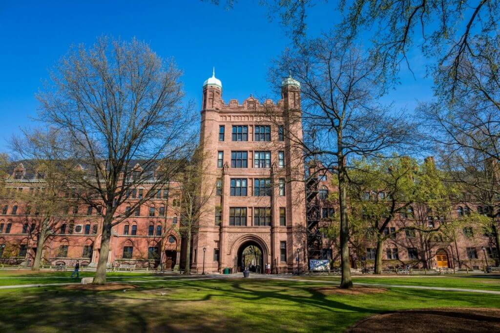 Conheça o Yale World Fellows, programa para profissionais experientes