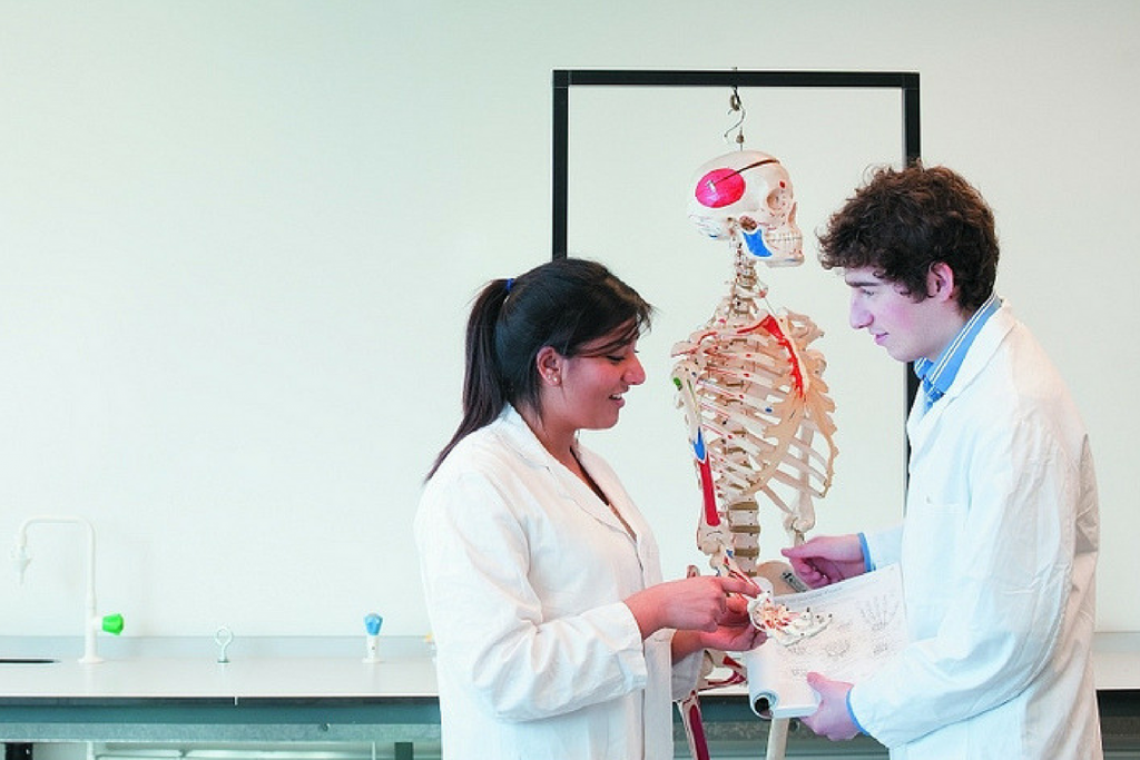 Tudo sobre: estudar medicina fora do Brasil (da admissão ao Revalida!)
