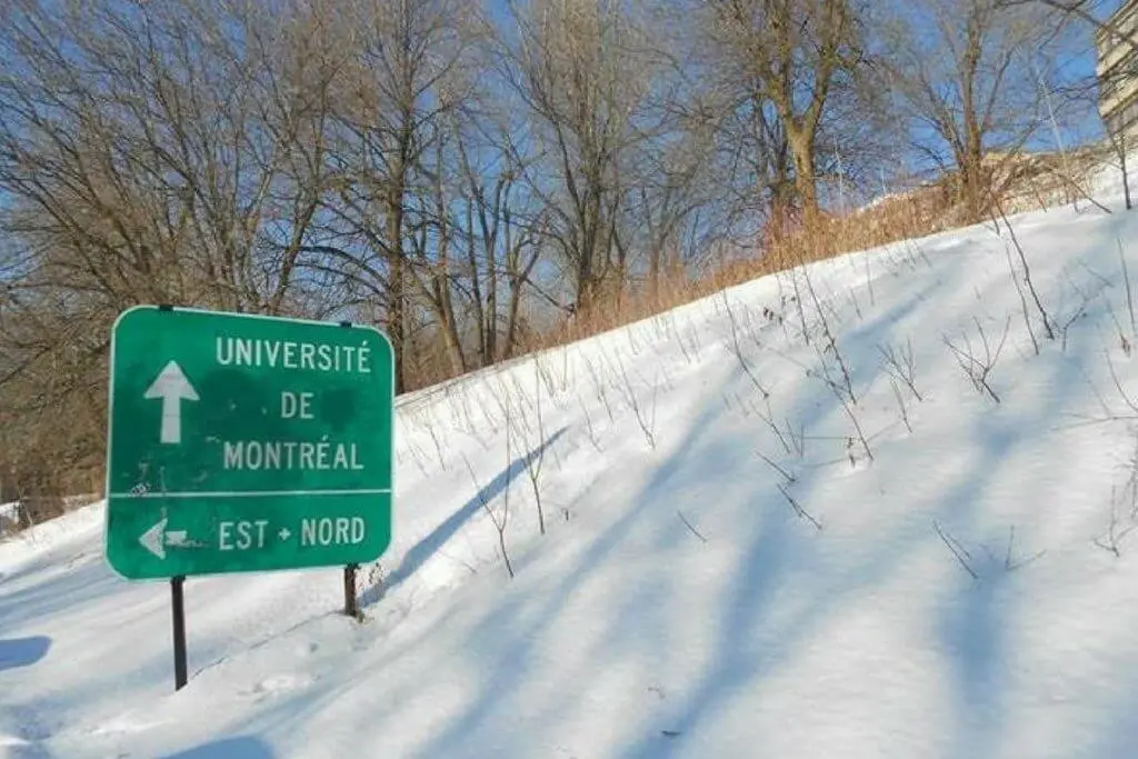 Como é fazer uma pós-graduação em francês no Canadá