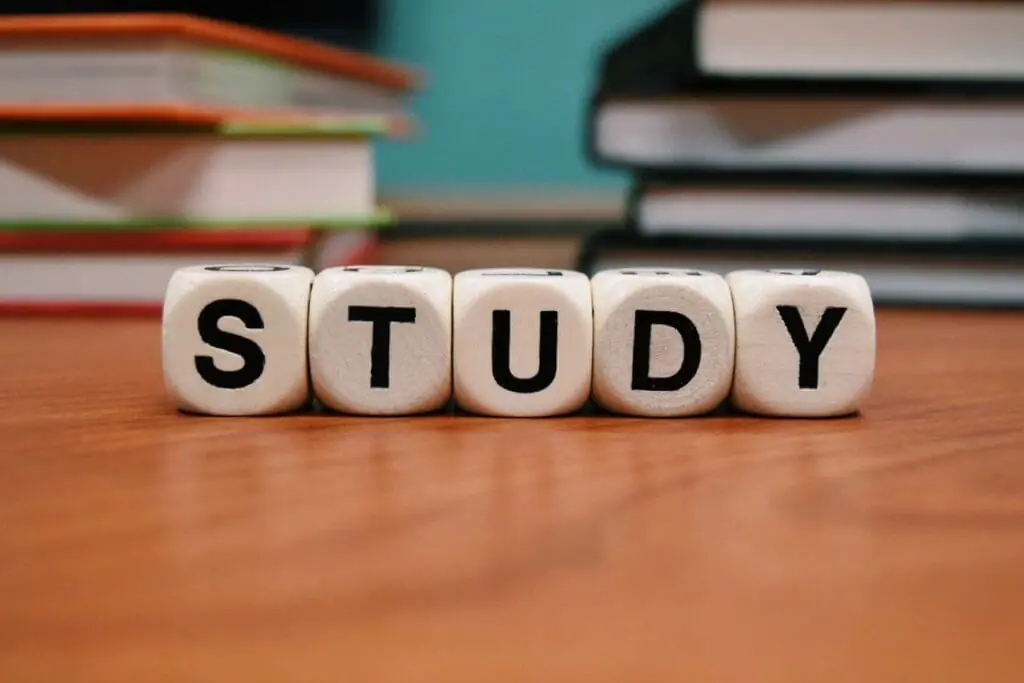 FAQ Estudar Fora: confira as principais perguntas sobre estudos no exterior