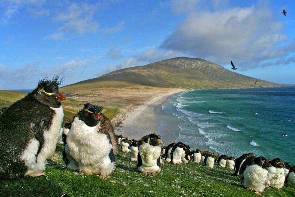 Concurso leva estudante brasileiro para viagem às ilhas Falkland