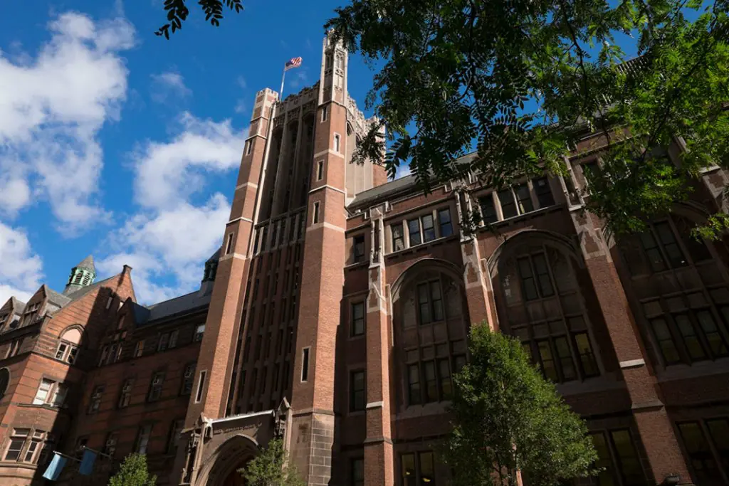 A brasileira que trouxe conhecimento da Columbia para formar líderes na educação brasileira