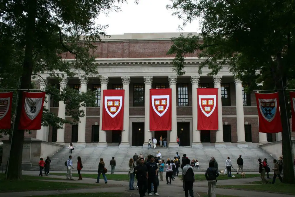Greve pelo meio ambiente: conheça o movimento ao qual aderiram Harvard, Oxford e Cambridge