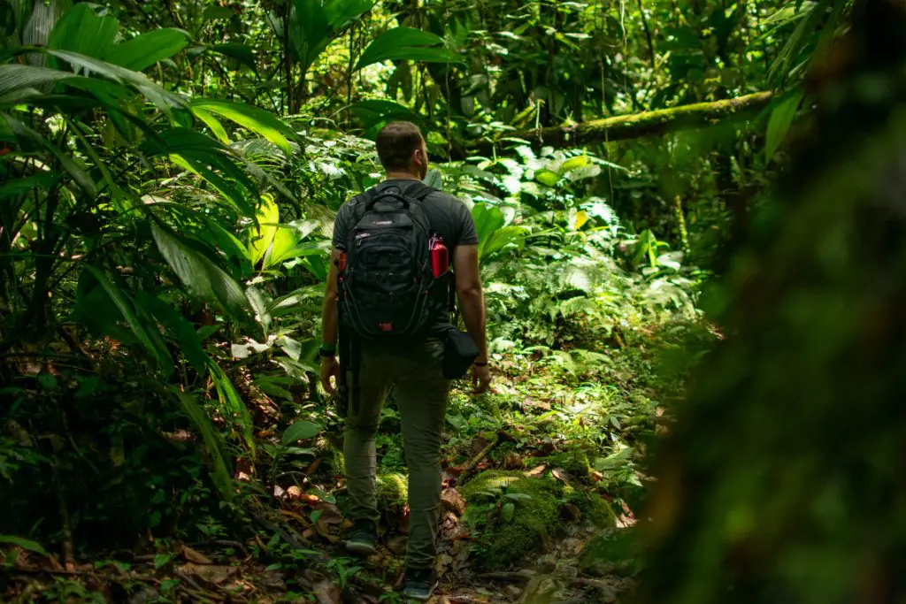 Bolsas integrais para mestrado em biodiversidade e ecossistemas em 3 países