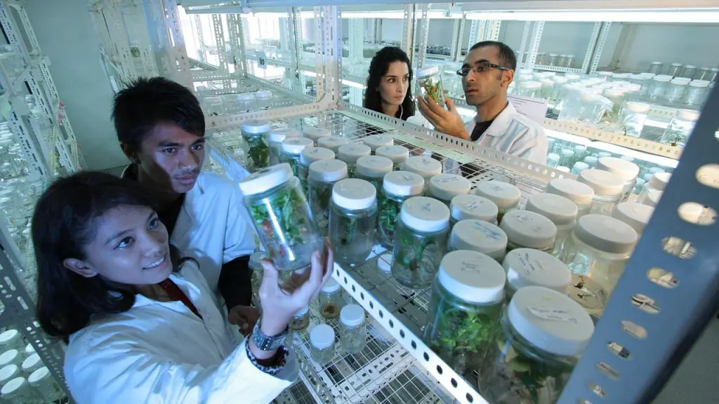 Saiba onde estudar Biotecnologia no exterior